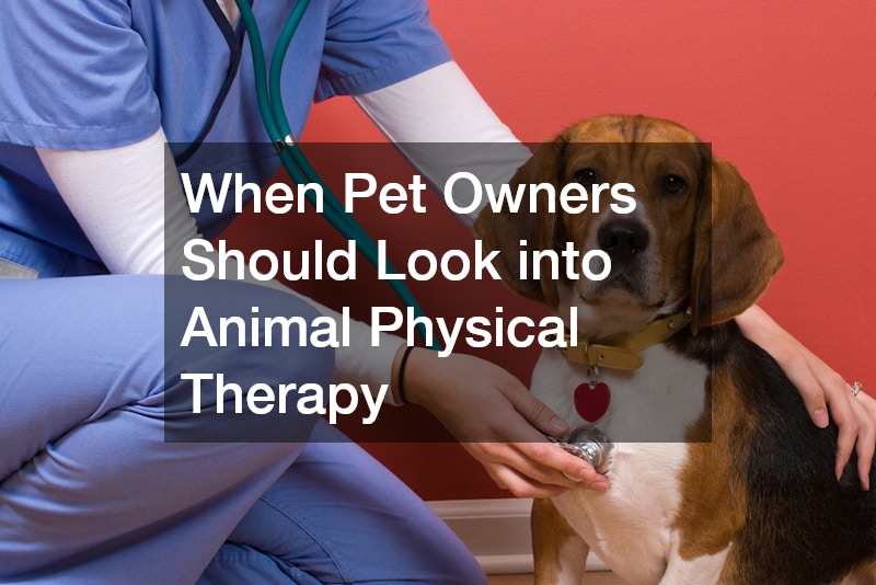 When Pet Owners Should Look into Animal Physical Therapy